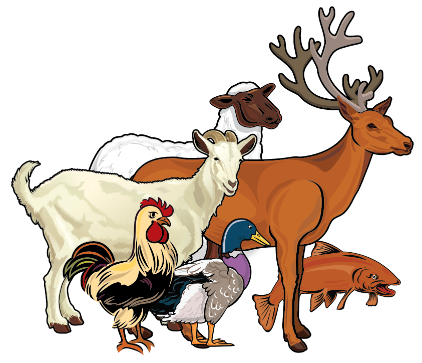 Carna4 Whole Food Nuggets For Pets
